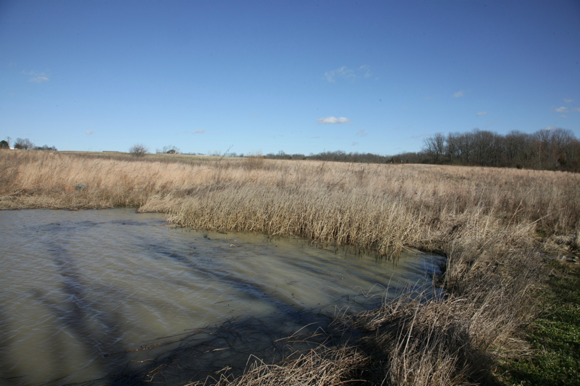 Full Size Image = 1406 K