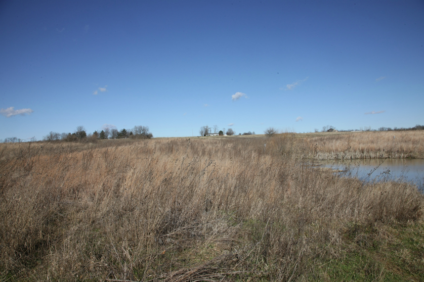 Full Size Image = 1625 K