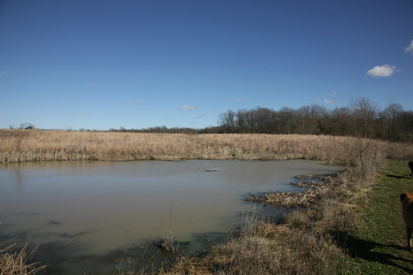 Full Size Image = 1203 K