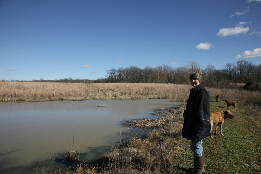 Full Size Image = 1300 K