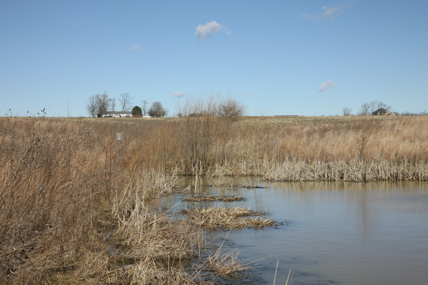 Full Size Image = 1597 K