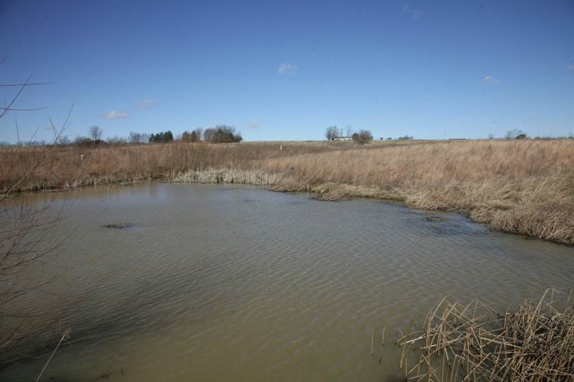 Full Size Image = 1101 K