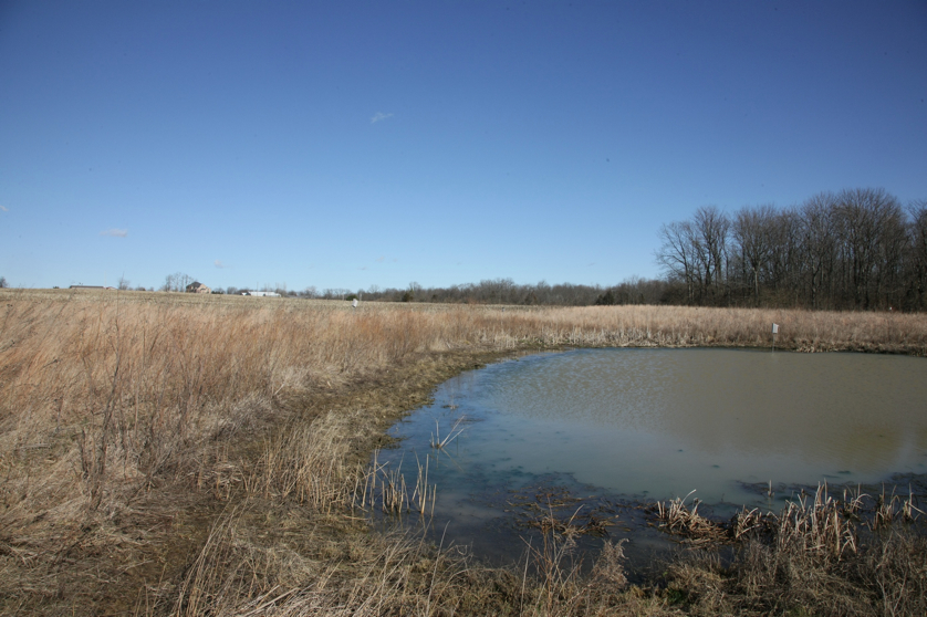 Full Size Image = 1442 K