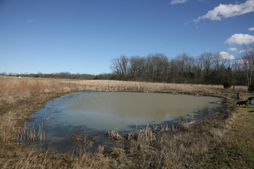 Full Size Image = 1566 K