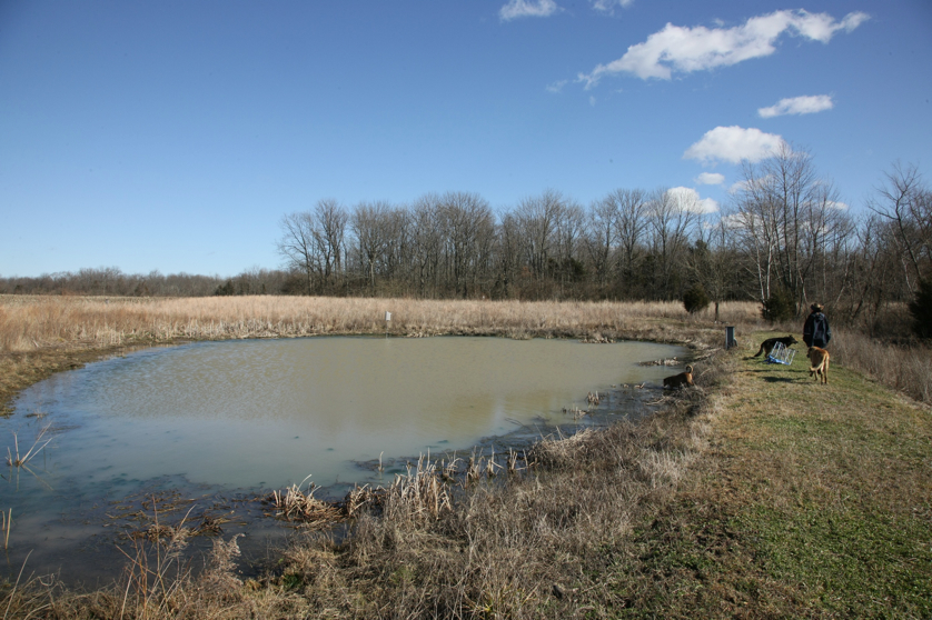 Full Size Image = 1672 K