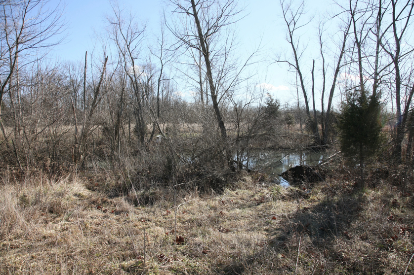 Full Size Image = 2900 K