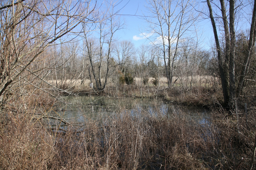 Full Size Image = 2928 K