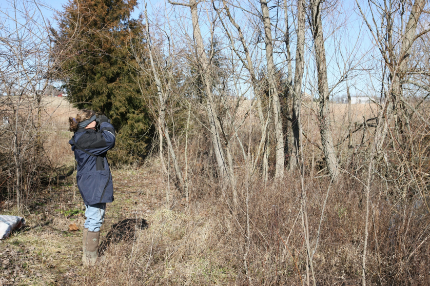 Full Size Image = 2936 K