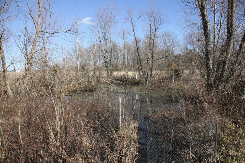 Full Size Image = 2887 K