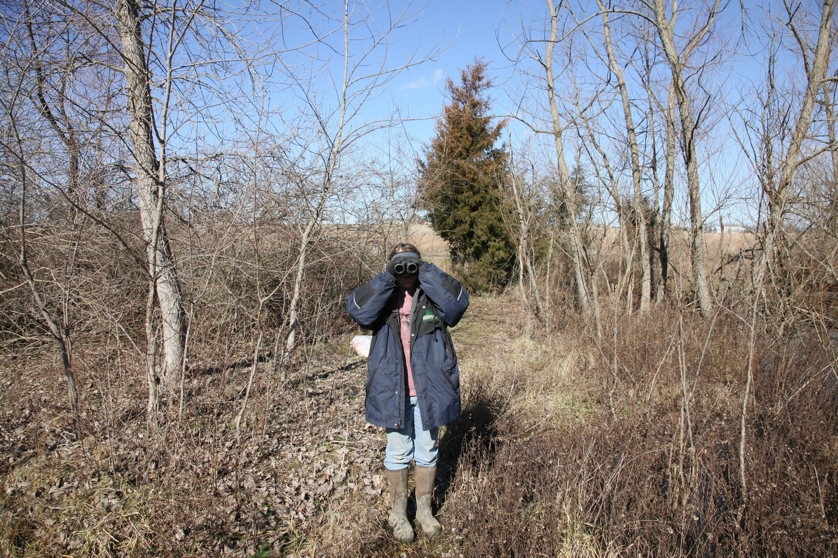 Full Size Image = 2996 K