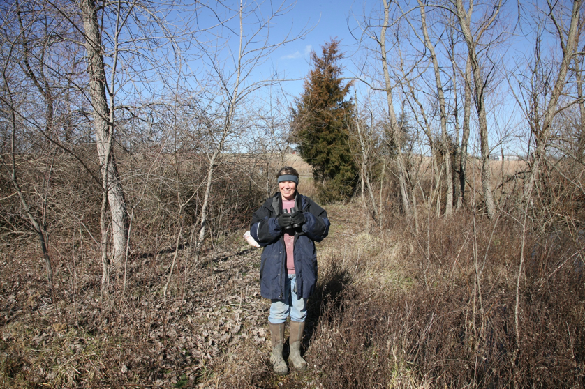 Full Size Image = 2933 K