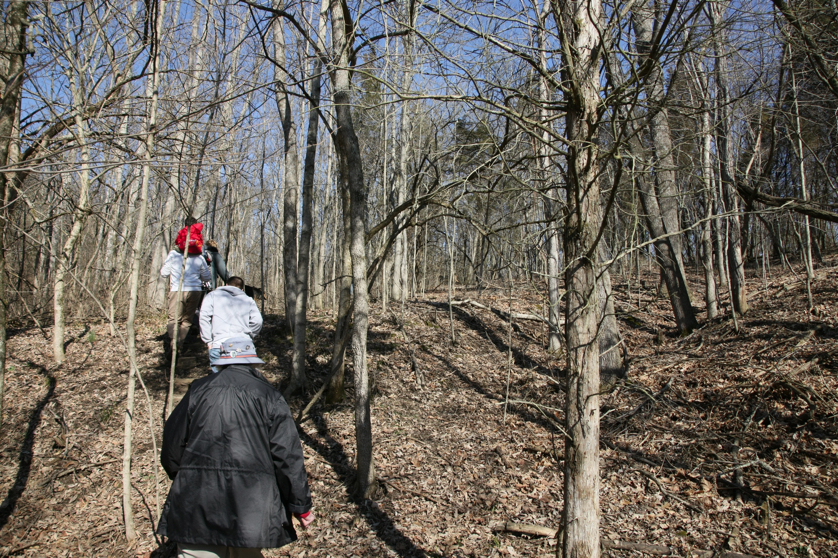 Full Size Image = 2940 K