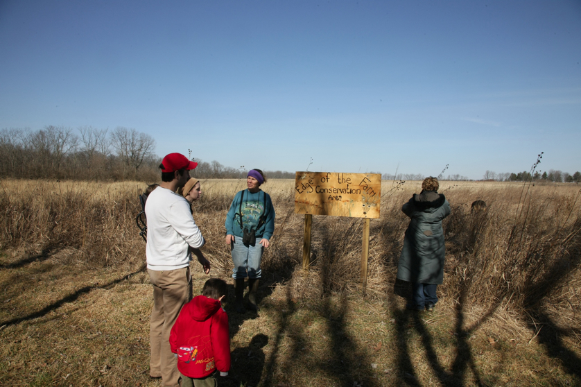 Full Size Image = 1518 K