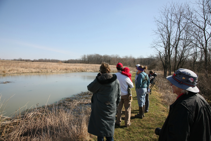 Full Size Image = 1536 K