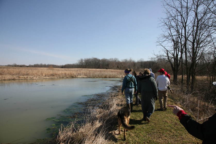 Full Size Image = 1541 K