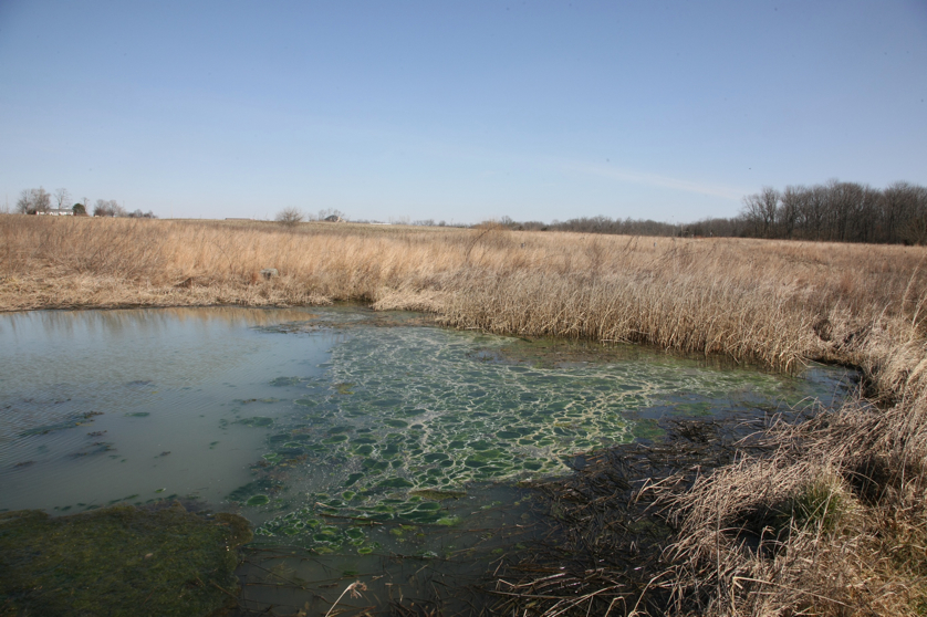 Full Size Image = 1536 K