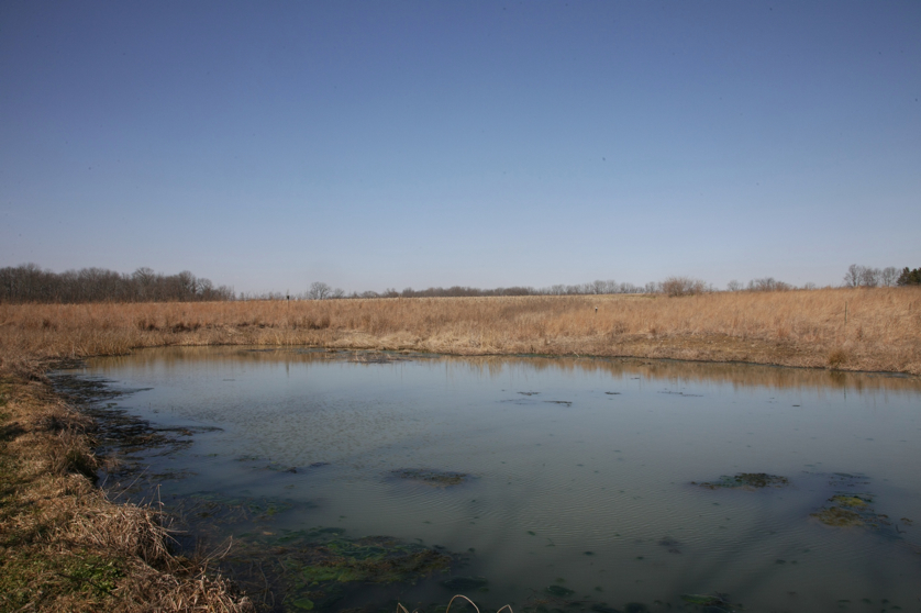 Full Size Image = 974 K