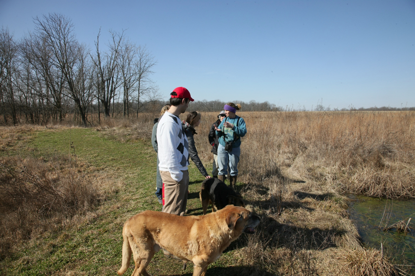 Full Size Image = 1978 K