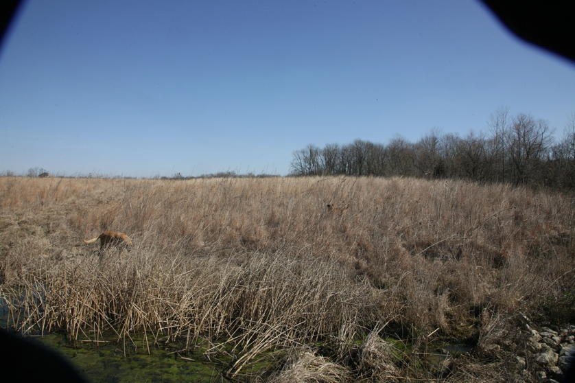 Full Size Image = 1716 K