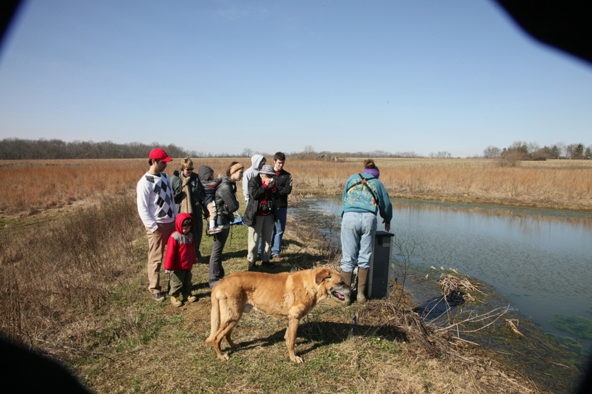 Full Size Image = 1598 K