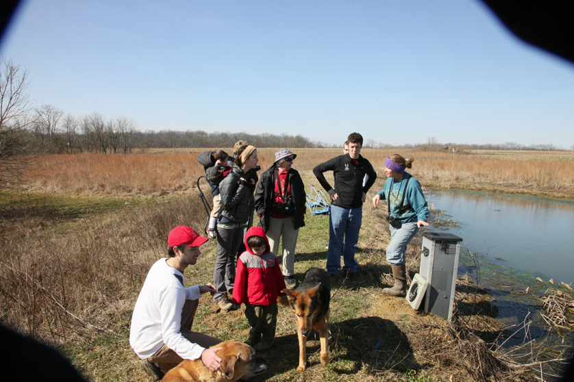 Full Size Image = 1594 K