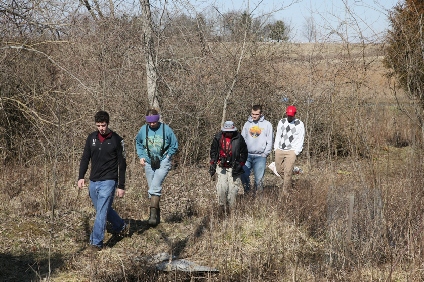 Full Size Image = 2868 K