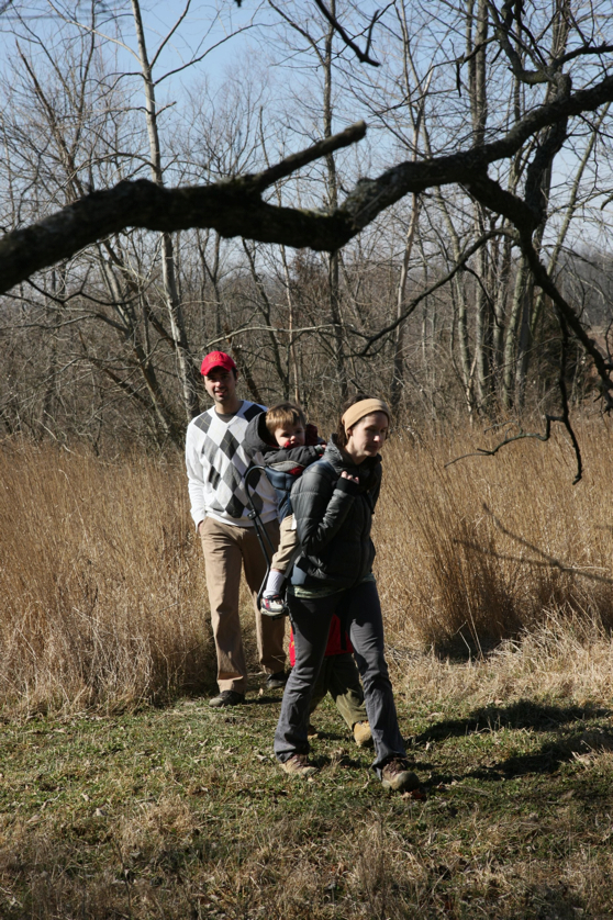 Full Size Image = 1483 K