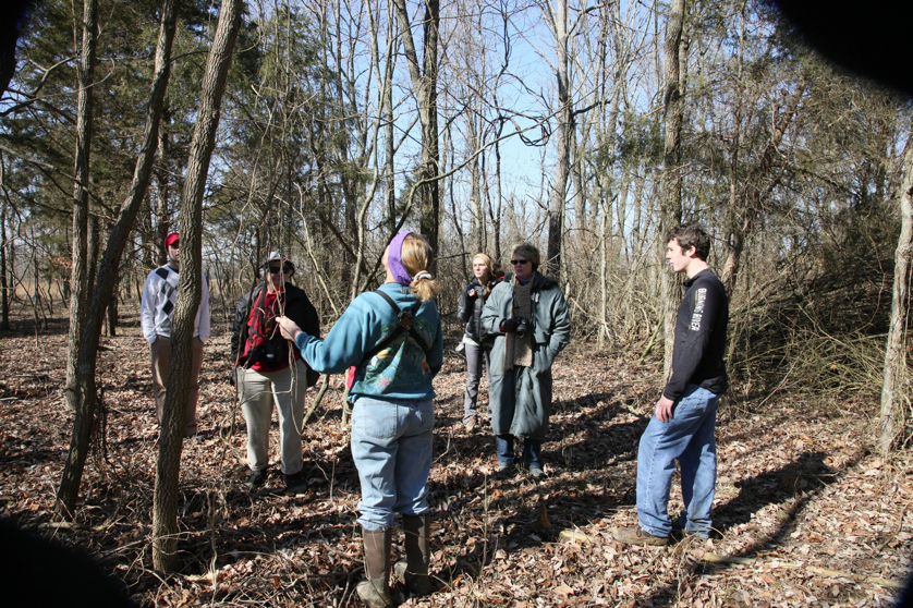 Full Size Image = 2832 K