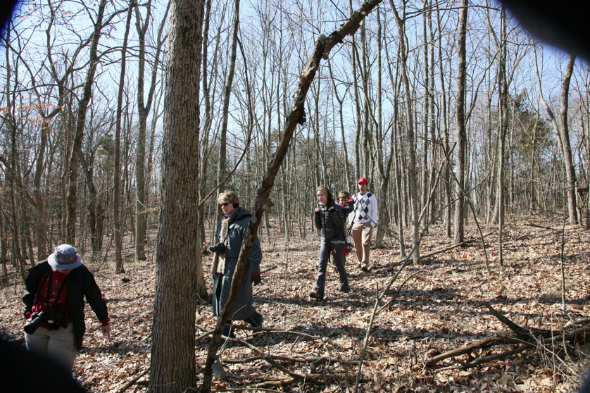 Full Size Image = 2954 K