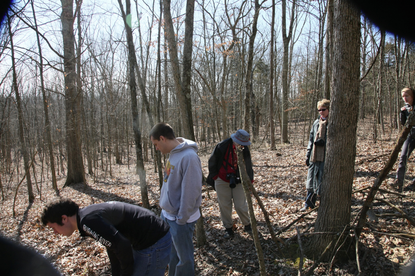 Full Size Image = 2477 K