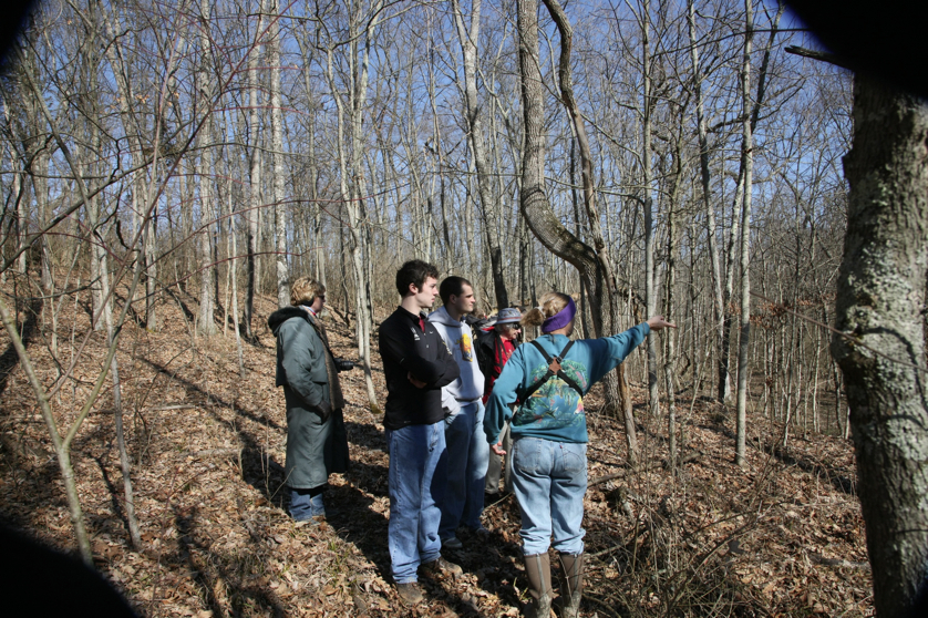 Full Size Image = 2641 K