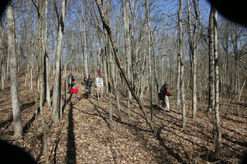 Full Size Image = 2759 K