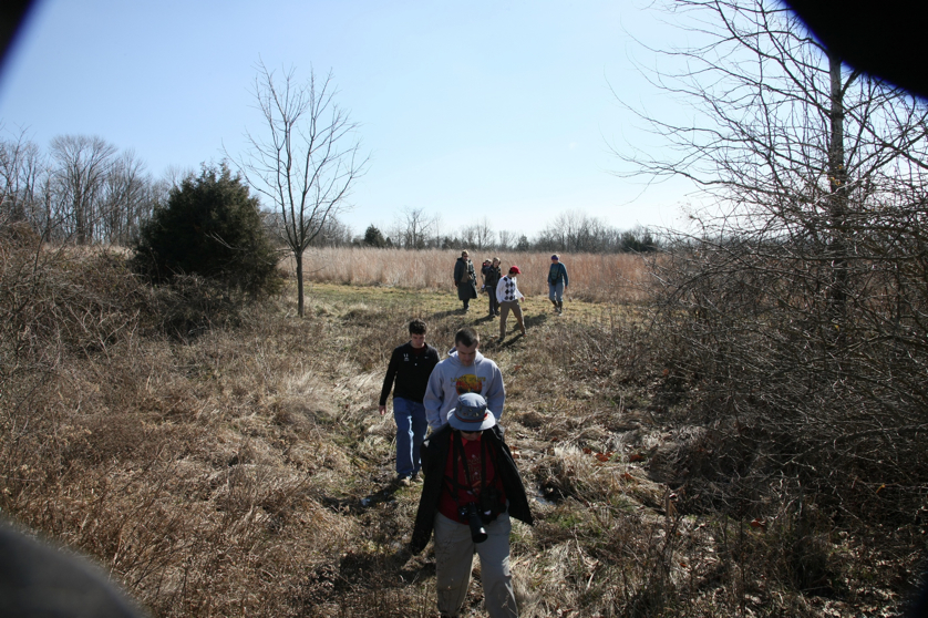 Full Size Image = 2234 K