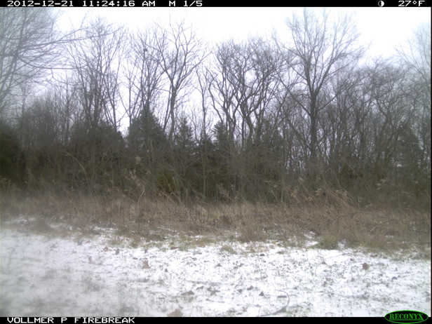 Full Size Image = 836 K