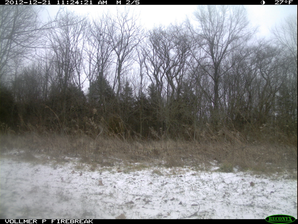 Full Size Image = 841 K