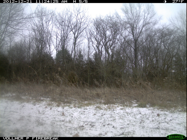 Full Size Image = 843 K