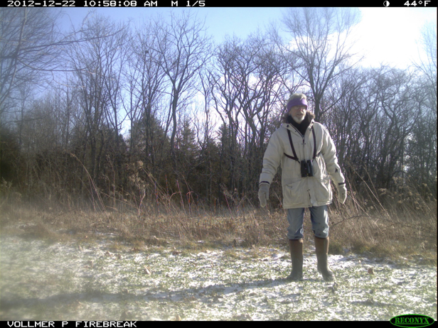 Full Size Image = 1043 K