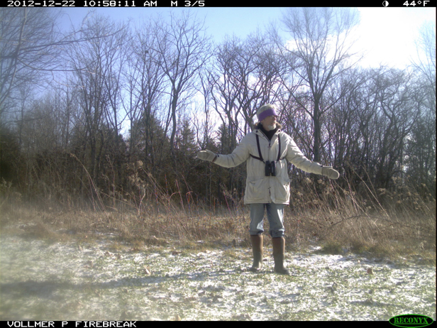 Full Size Image = 1063 K