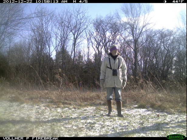 Full Size Image = 1062 K