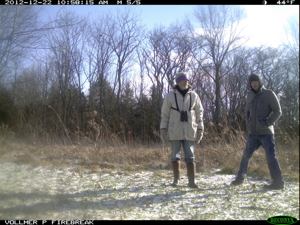 Full Size Image = 1042 K