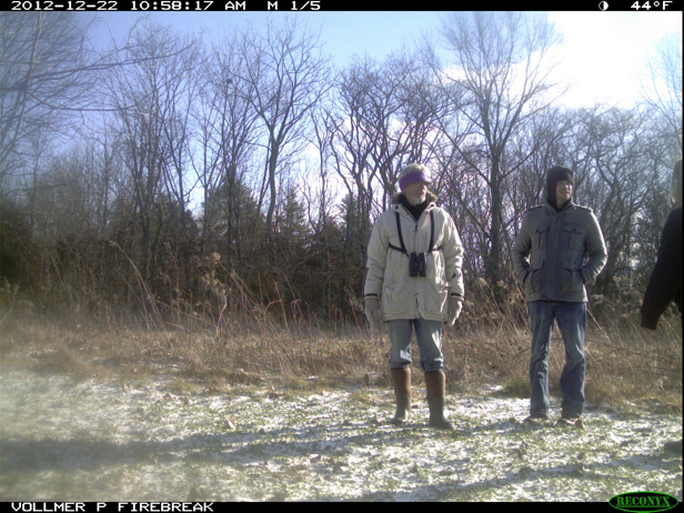 Full Size Image = 1033 K