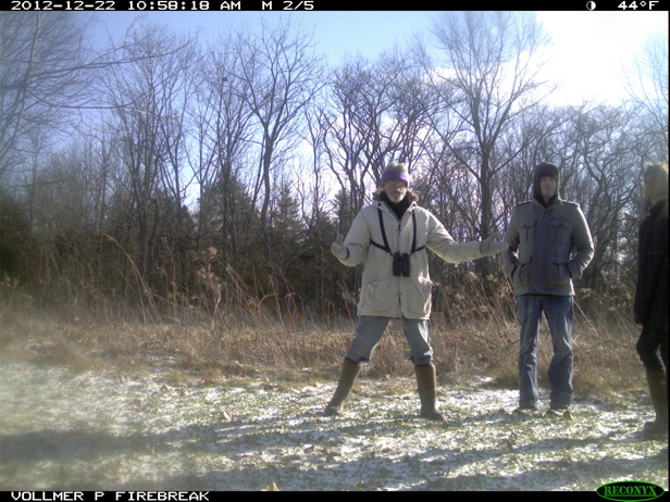 Full Size Image = 1010 K