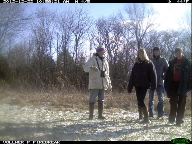 Full Size Image = 975 K