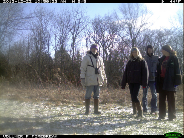 Full Size Image = 972 K