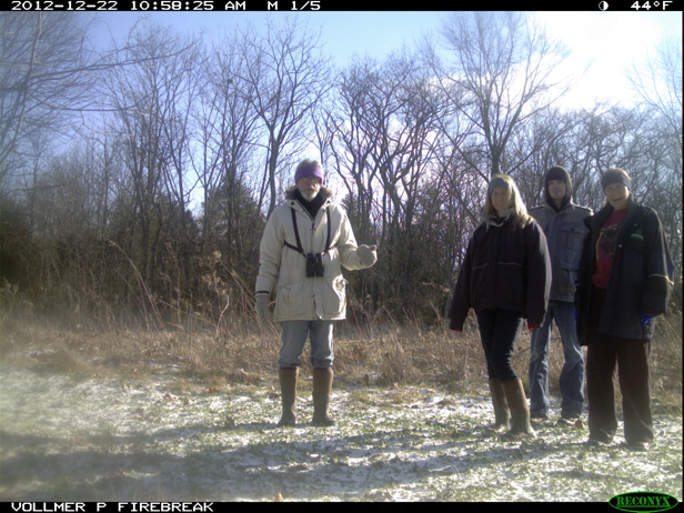 Full Size Image = 972 K