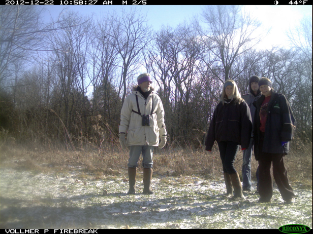 Full Size Image = 981 K