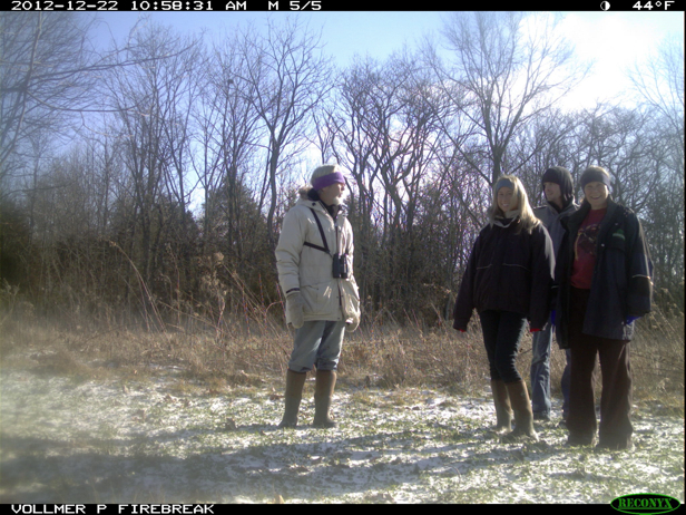 Full Size Image = 985 K