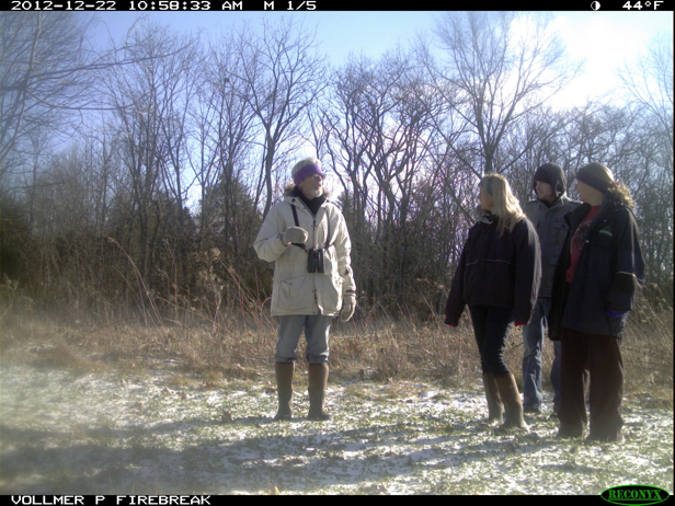 Full Size Image = 982 K