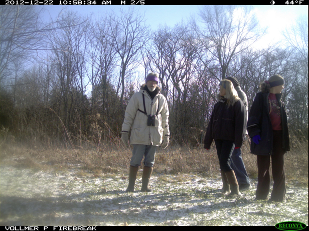 Full Size Image = 990 K