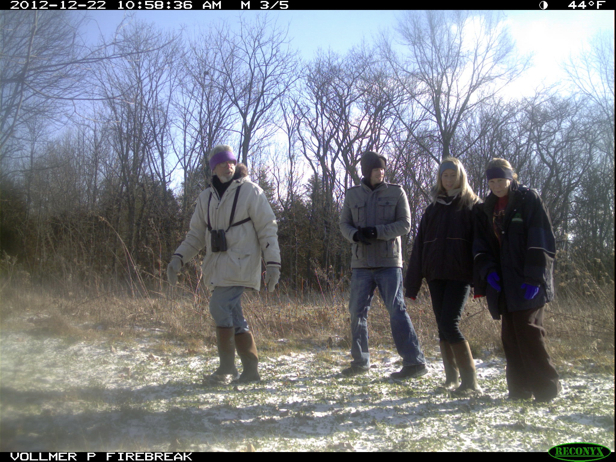 Full Size Image = 975 K